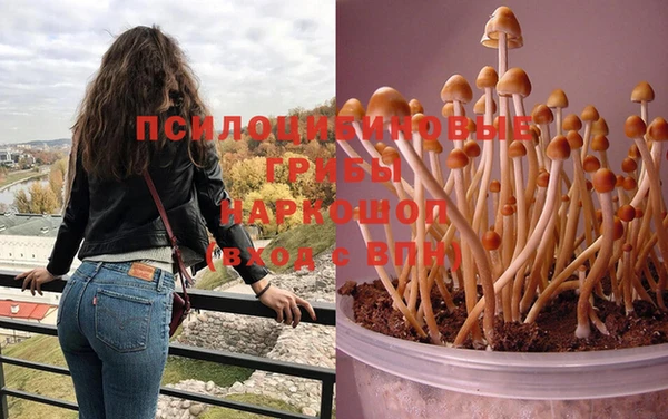 соль курить ск Абаза
